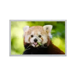 12.1インチAUO LCDのパネル800*600 G121S1-L02 REV C4/REV C6 TFT LCDの表示モジュール